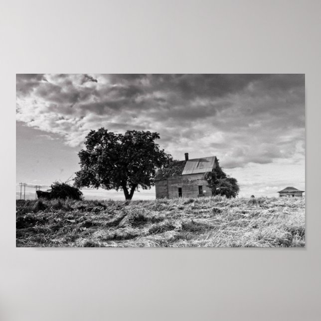 Einmal eine Schönheit Poster (Vorne)