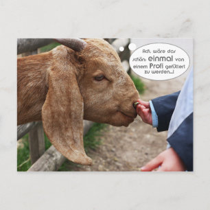 ...einmal von einem Profi ttert zu werden.. Postkarte