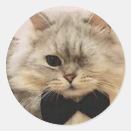 Einmalige mit Augen Katze Runder Aufkleber