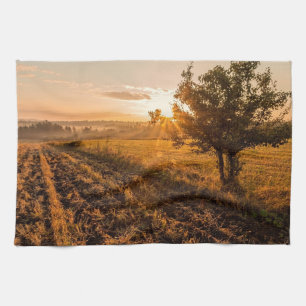 Einmaliger Baum auf dem nebeligen Feld im goldenen Geschirrtuch