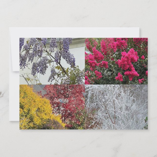 Einmalkarte Die vier Jahreszeiten (Vorderseite)