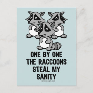 Eins nach dem anderen Raccoons Postkarte