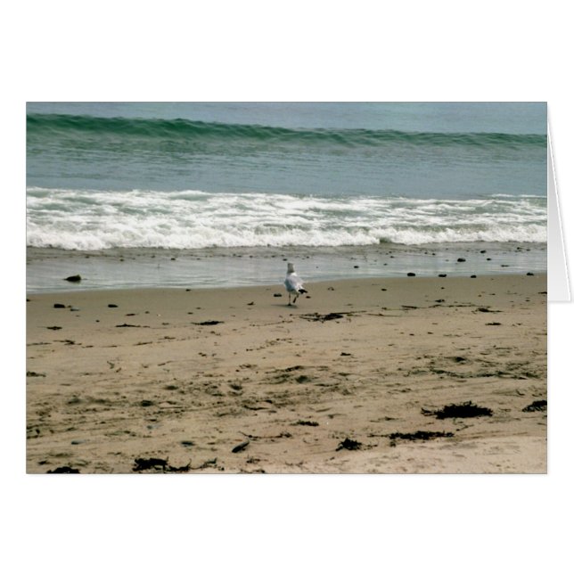 Einsam ohne Sie (Vorderseite (Horizontal))