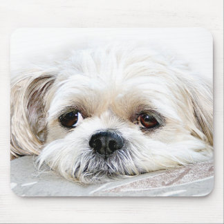 einsam shih tzu mousepad