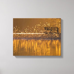 Einsame Bank am See im goldenen Licht Leinwanddruck