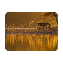 Einsame Bank am See im goldenen Licht