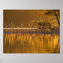 Einsame Bank am See im goldenen Licht