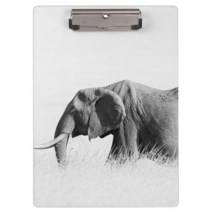 Einsame Elefant (High Key) Klemmbrett