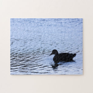 Einsame Enten-Silhouette-Wildlife-Wasserwellen-Fot