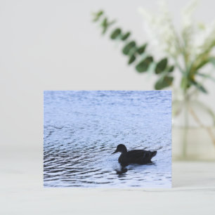 Einsame Enten-Wildlife-See-Wasser-Rippen-Fotografi Postkarte