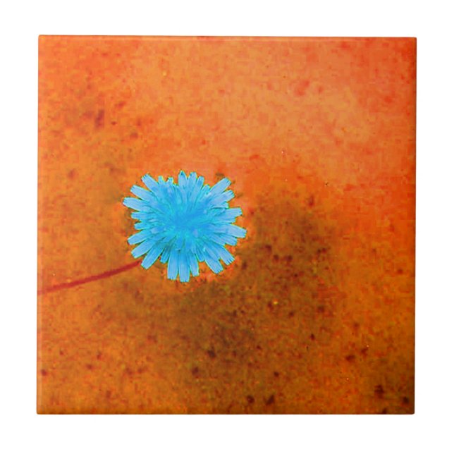 Einsame hellblaue Blume Fliese (Vorderseite)