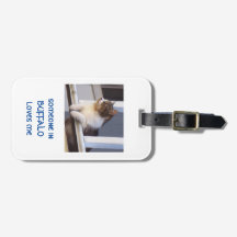 einsame Katze Gepäckmarke