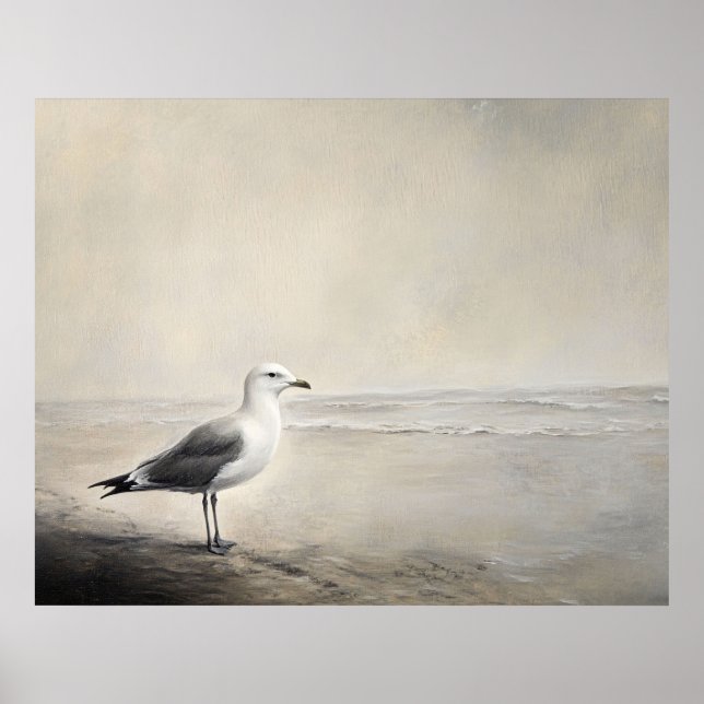 Einsame Möwe am Strand Poster (Vorne)