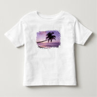 einsame Palme bei Sonnenuntergang, Coconut Grove B