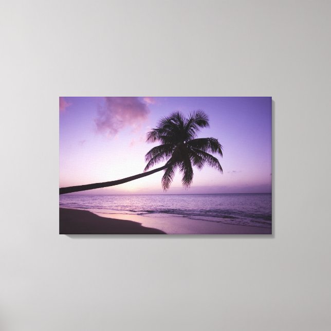 einsame Palme bei Sonnenuntergang, Coconut Grove B Leinwanddruck (Vorderseite)