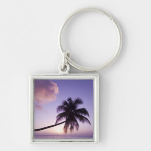 Einsame Palme bei Sonnenuntergang, Coconut Grove S Schlüsselanhänger