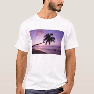 Einsame Palme bei Sonnenuntergang, Coconut Grove S T-Shirt