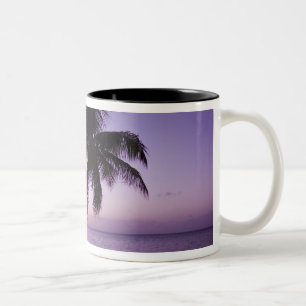 Einsame Palme bei Sonnenuntergang, Coconut Grove S Zweifarbige Tasse
