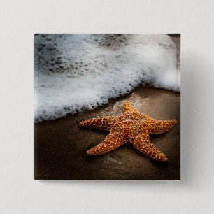Einsame Starfish auf dem Strand Button