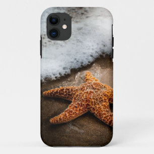 Einsame Starfish auf dem Strand title_seo2