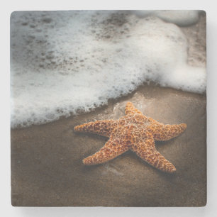 Einsame Starfish auf dem Strand Steinuntersetzer