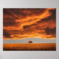 einsame Waldlandschaft abstrakt