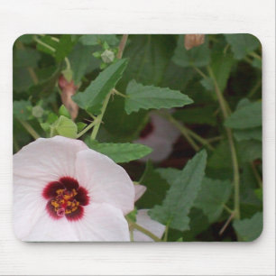 Einsame weiße Blume Mousepad