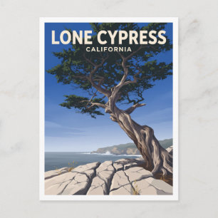 Einsame Zypresse Pebble Beach Kalifornien Geschenk Postkarte
