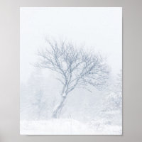 Einsamer Baum bei Schneesturm im Winter