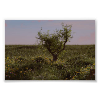 Einsamer Baum Fotodruck