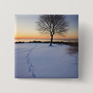 Einsamer Baum im frischen Schnee auf dem New Castl Button
