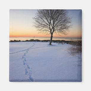 Einsamer Baum im frischen Schnee auf dem New Castl Magnet