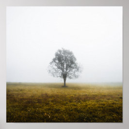 Einsamer Baum in einem nebeligen Herbstmorgen Poster