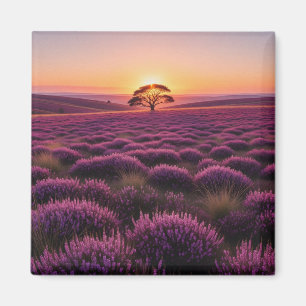 Einsamer Baum North York Moors Nationalpark Englan Magnet