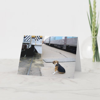 Einsamer Beagle wartete einen Zug - Gruß-Karte Karte