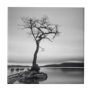 Einsamer bloßer Baum Fliese