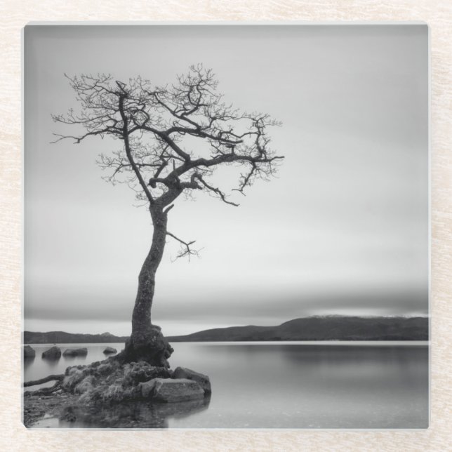 Einsamer bloßer Baum Glasuntersetzer (Vorderseite)