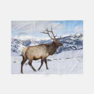 Einsamer Bullen-Elch   Yellowstone-Nationalpark Fleecedecke