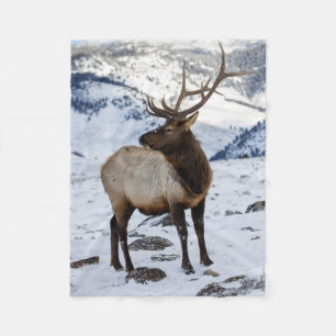 Einsamer Bullenelk im Schnee   Yellowstone-Nationa Fleecedecke
