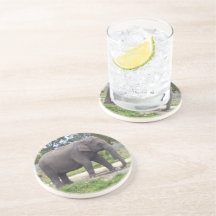 einsamer grauer Elefant