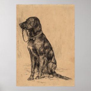 Einsamer Hund, der seine eigene Leine, Vintage Poster