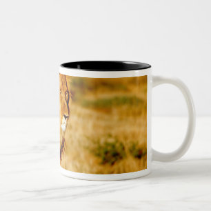 Einsamer Löwe Zweifarbige Tasse