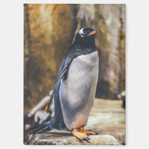 einsamer Pinguinmagnet Magnet