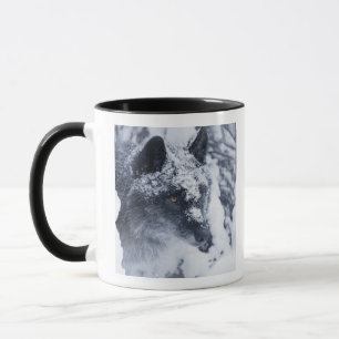 Einsamer Wolf im Schnee Tasse