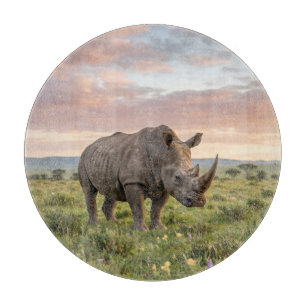 Einsames Nashorn in der Savanne bei Sonnenuntergan Schneidebrett