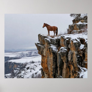 Einsames Pferd auf einer schneebedeckten Klippe im Poster