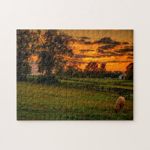 Einsames Pferd bei Sonnenuntergang