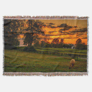 Einsames Pferd bei Sonnenuntergang Decke