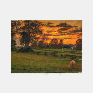 Einsames Pferd bei Sonnenuntergang Fleecedecke