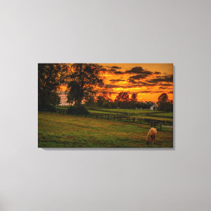 Einsames Pferd bei Sonnenuntergang Leinwanddruck